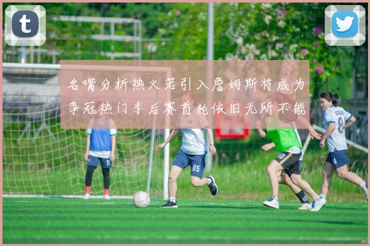 名嘴分析热火若引入詹姆斯将成为争冠热门季后赛首轮依旧无所不能